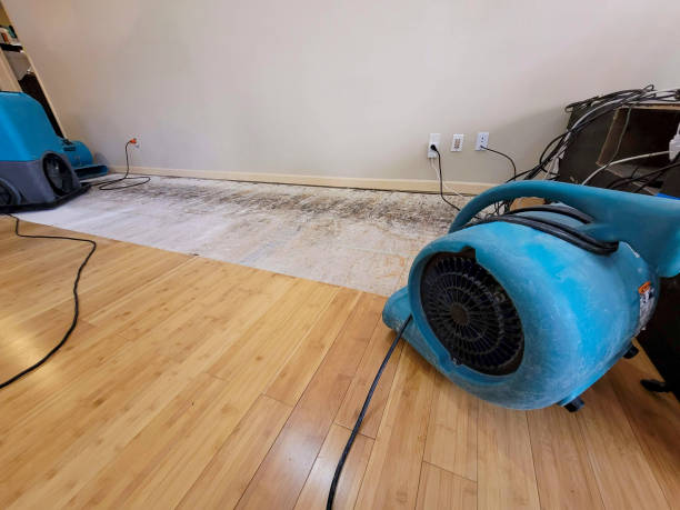 Professional Emergency Water Damage technician working in Denmark, SC